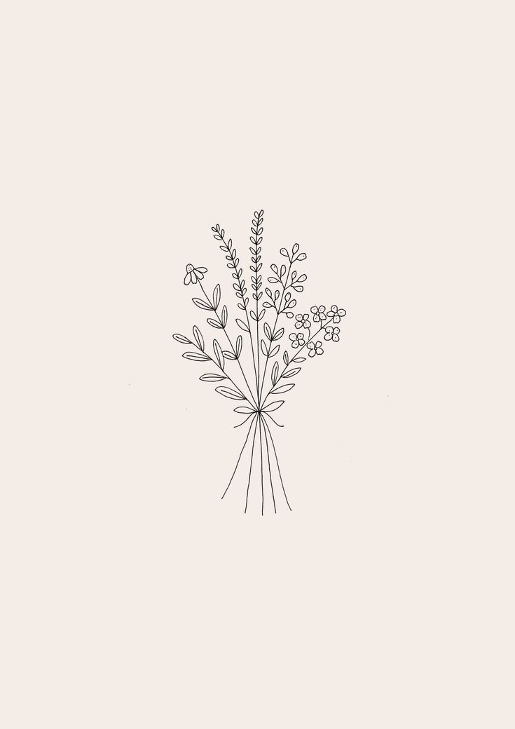 Aesthetic Minimalist Flower Drawing Wallpapers