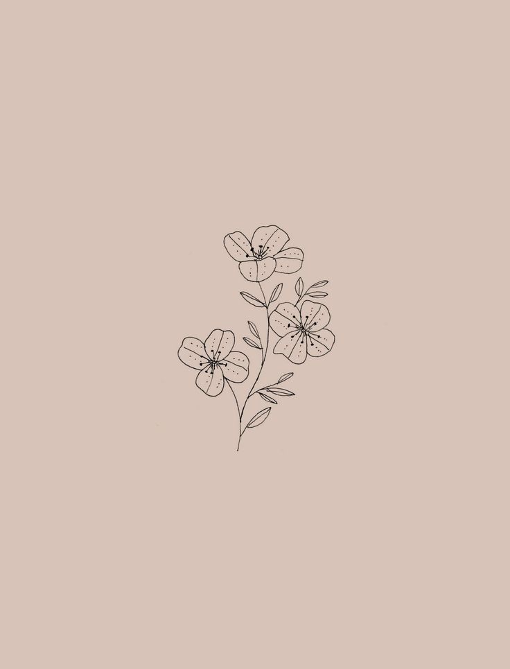 Aesthetic Minimalist Flower Drawing Wallpapers