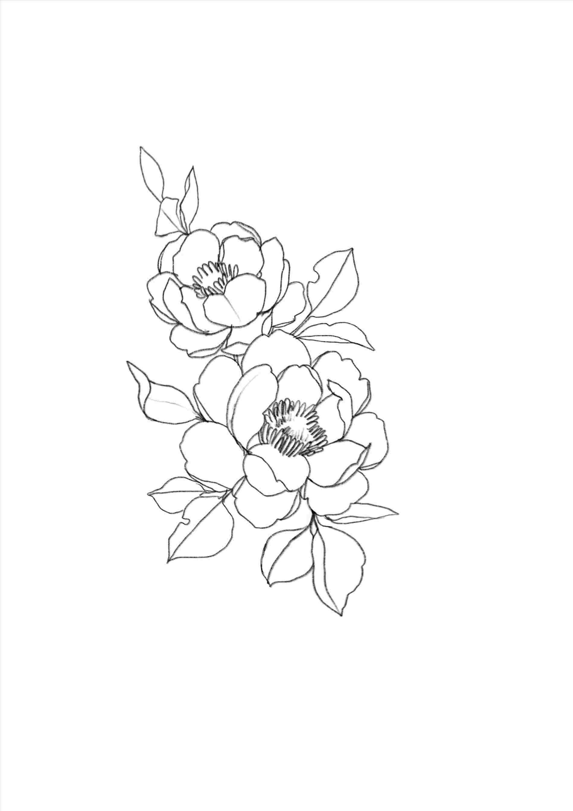 Aesthetic Minimalist Flower Drawing Wallpapers