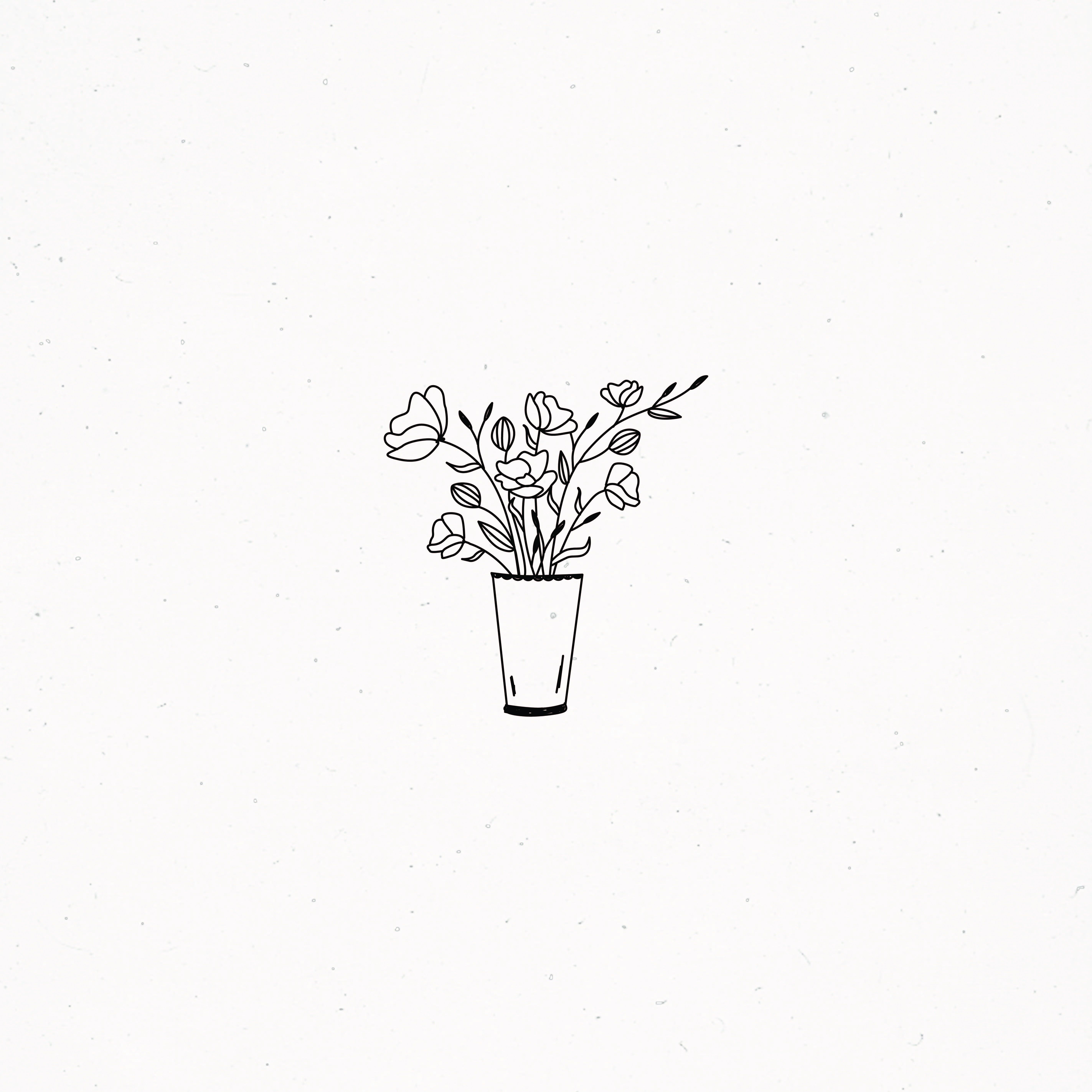 Aesthetic Minimalist Flower Drawing Wallpapers