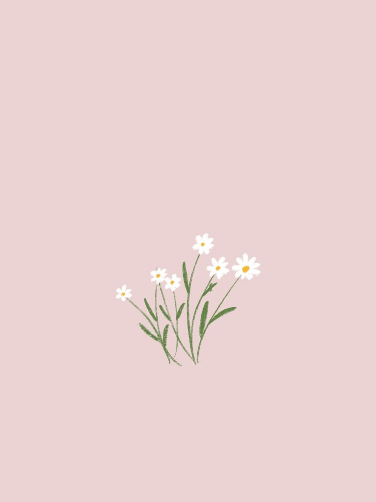 Aesthetic Minimalist Flower Drawing Wallpapers