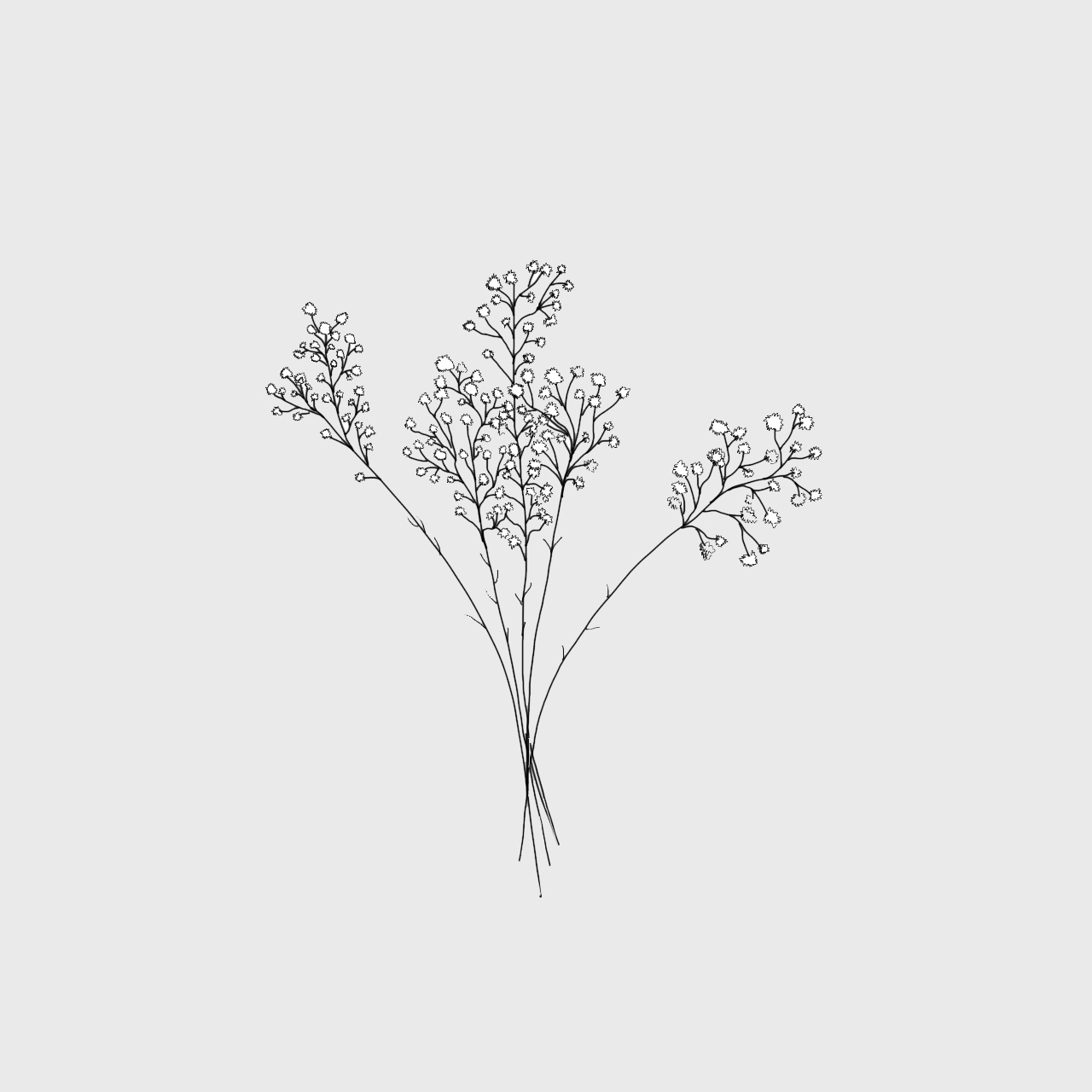 Aesthetic Minimalist Flower Drawing Wallpapers