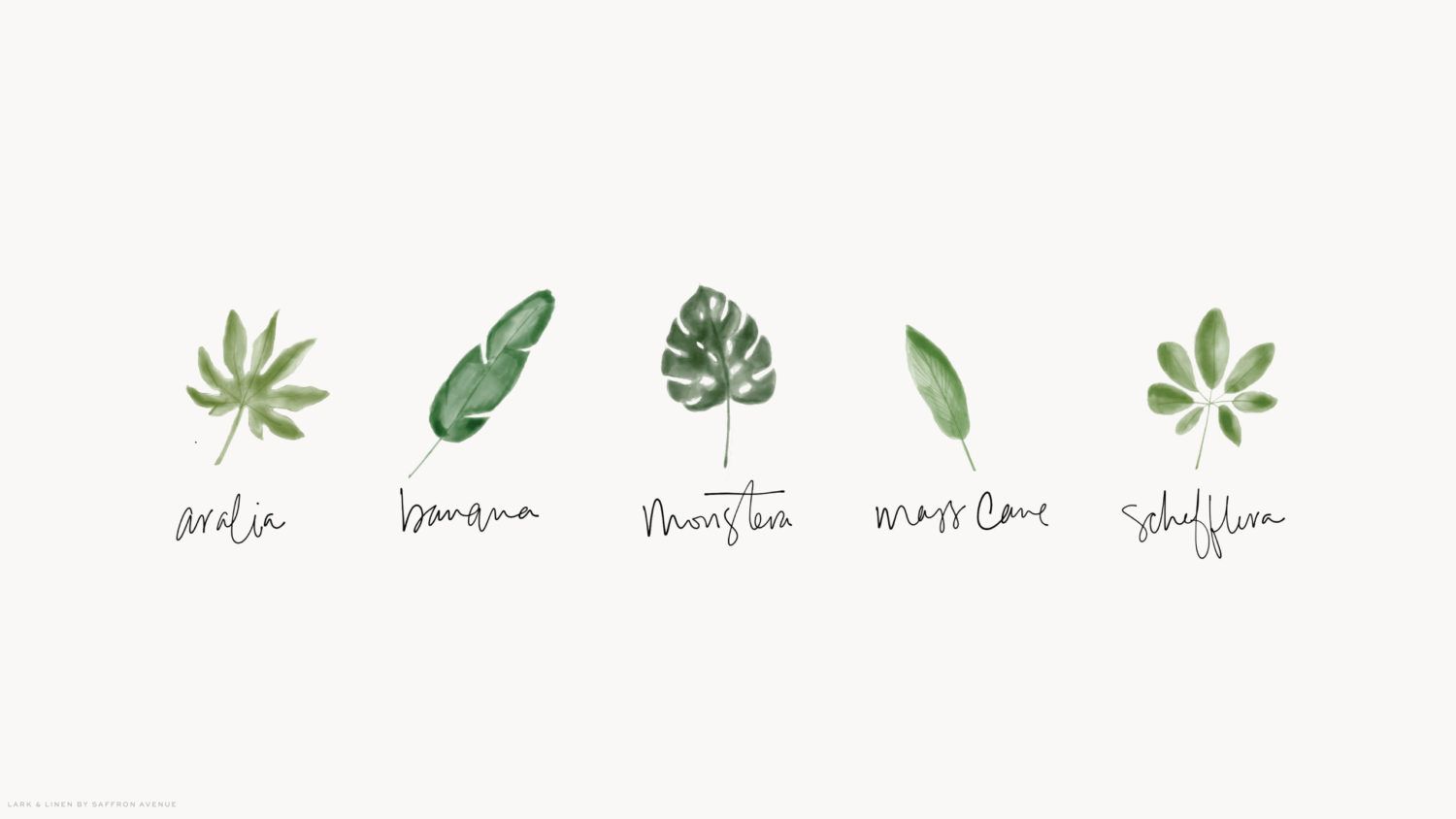 Aesthetic Minimalist Plant Desktop Wallpapers