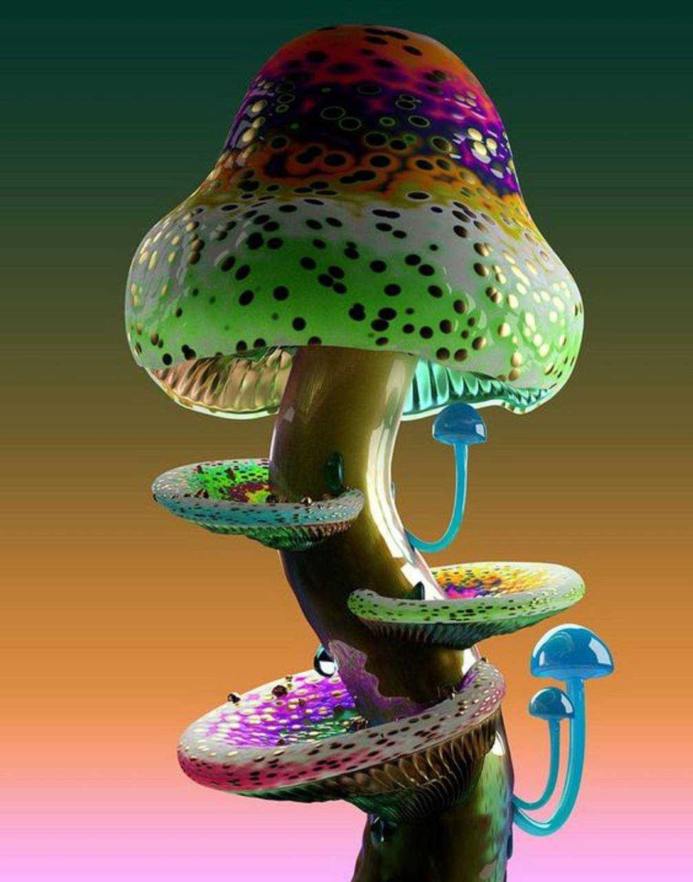 Aesthetic Mushroom Wallpapers