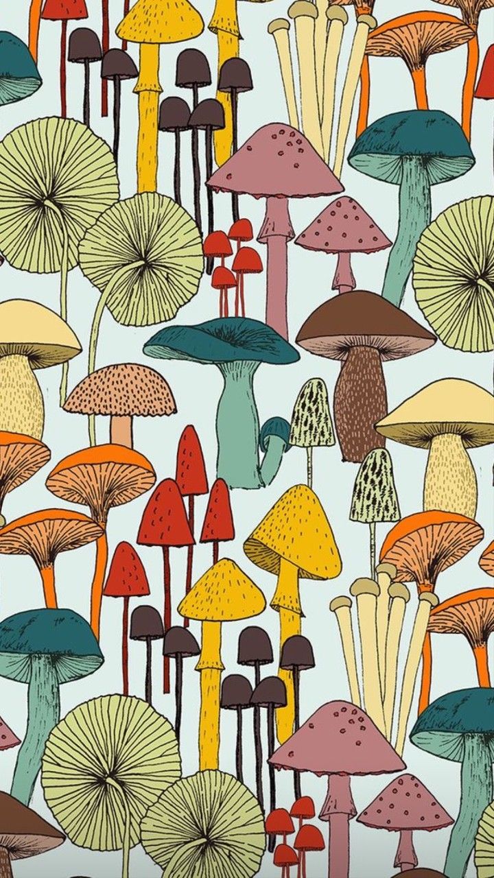 Aesthetic Mushroom Wallpapers