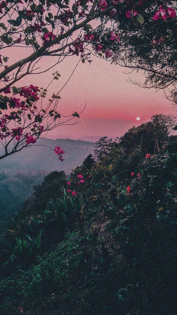 Aesthetic Nature Tumblr Wallpapers