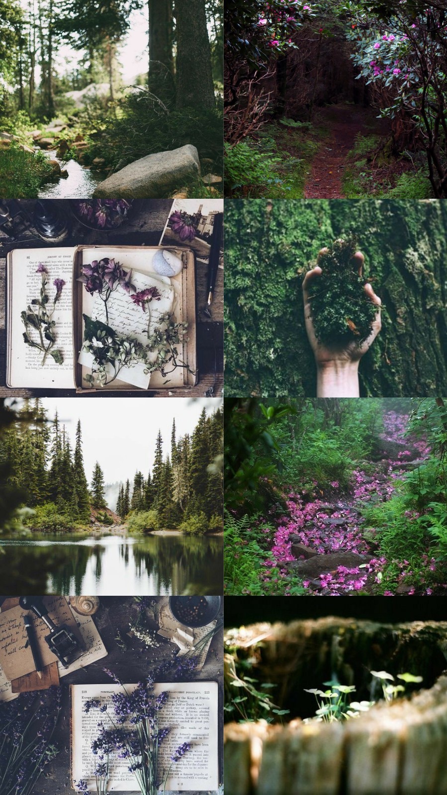 Aesthetic Nature Wallpapers