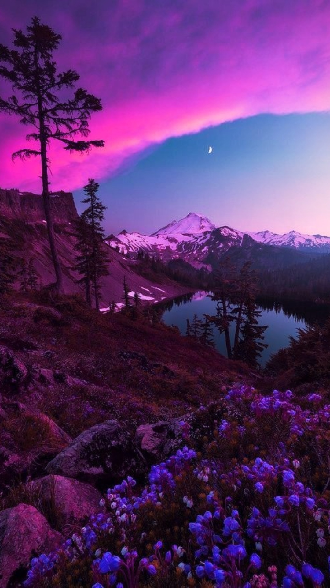 Aesthetic Nature Wallpapers