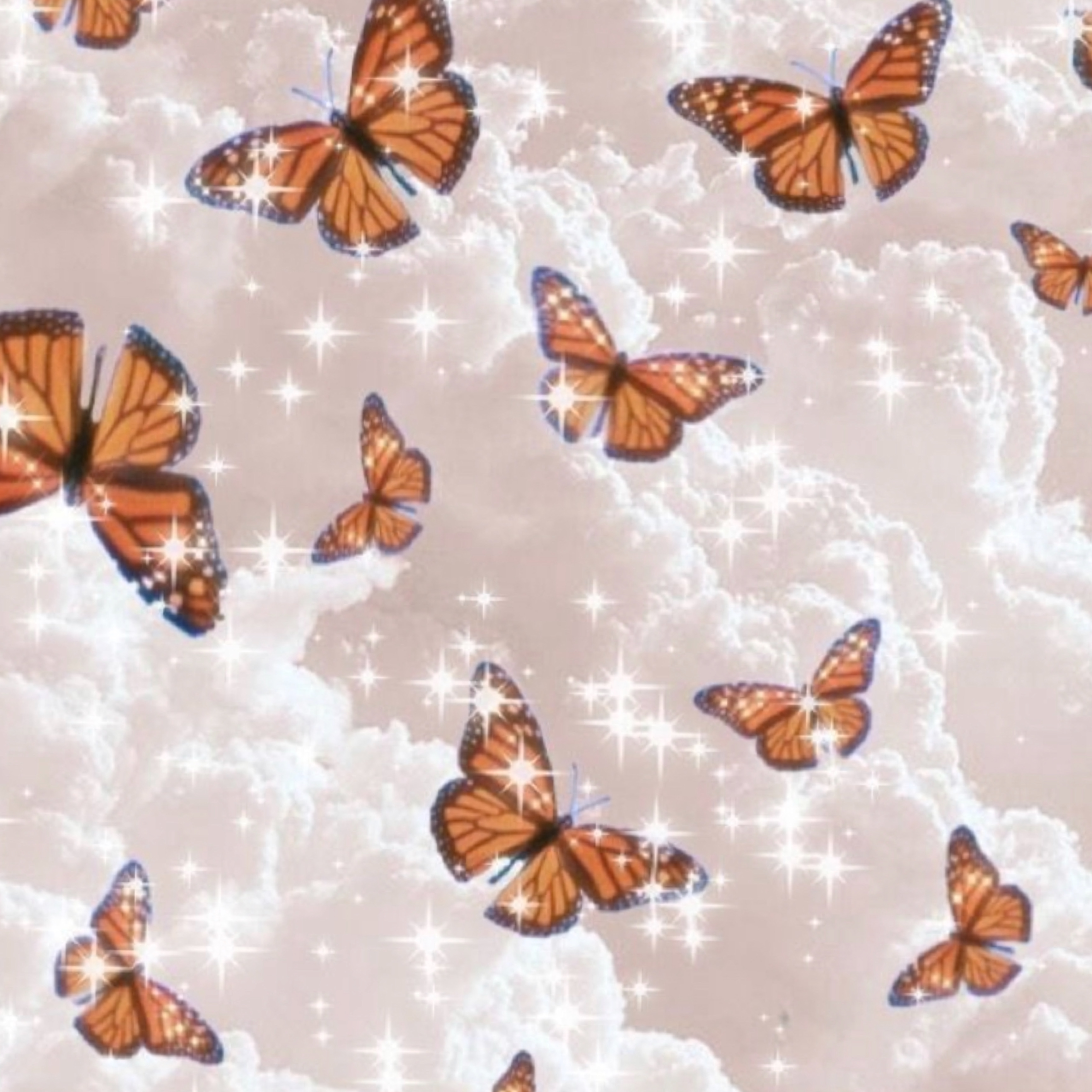 Aesthetic Orange Butterfly Wallpapers