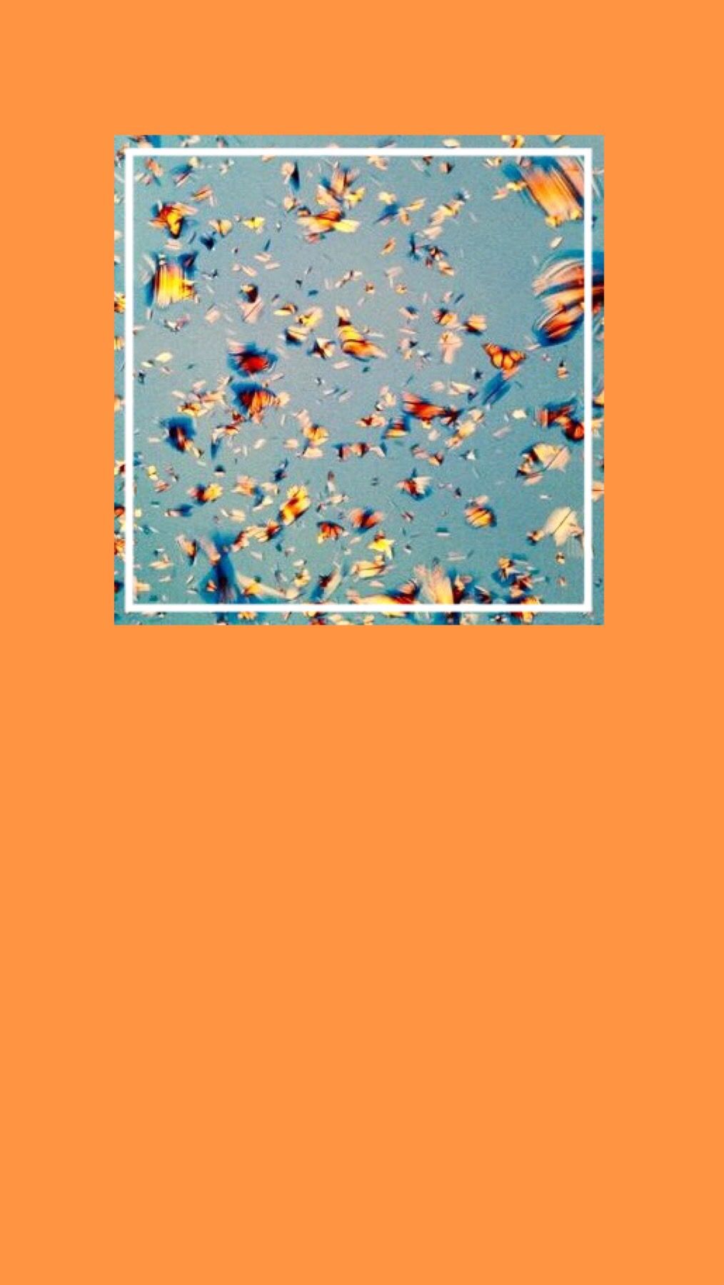 Aesthetic Orange Butterfly Wallpapers