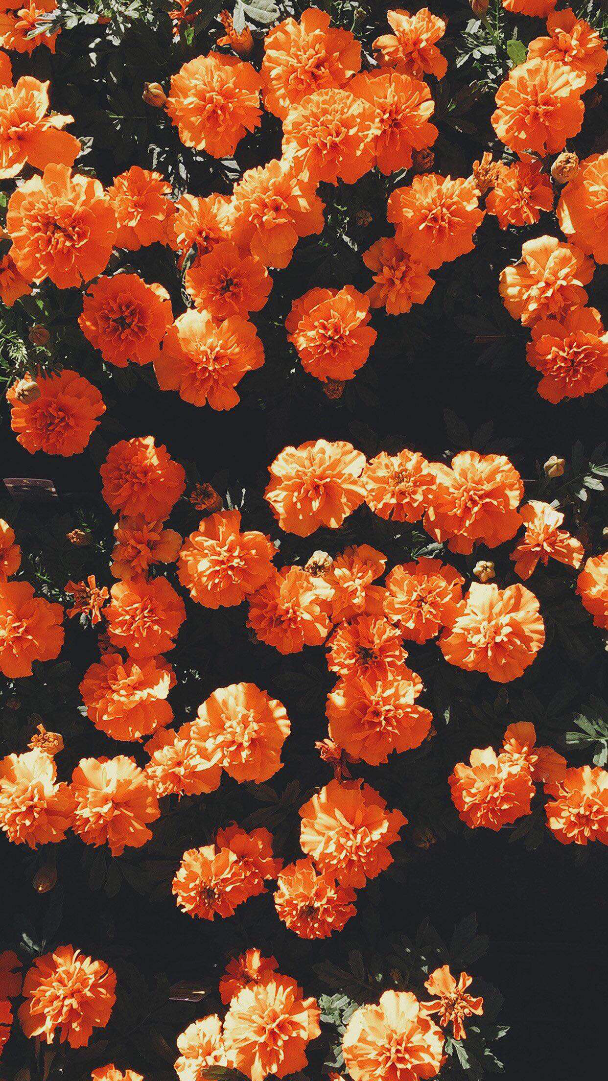 Aesthetic Orange Hd Wallpapers