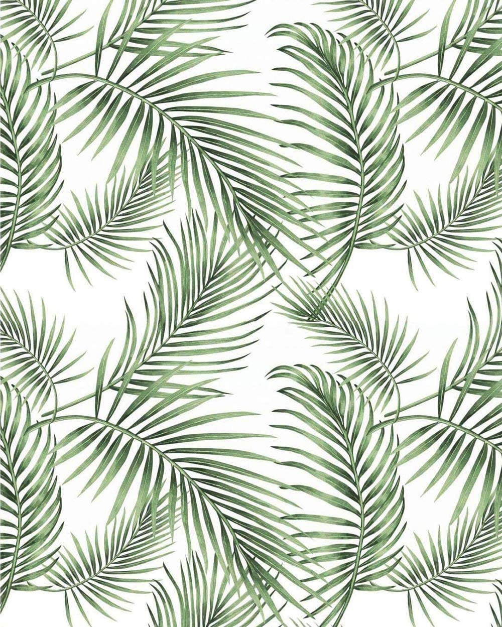 Aesthetic Palm Leaves Wallpapers