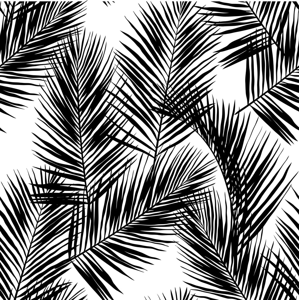 Aesthetic Palm Leaves Wallpapers