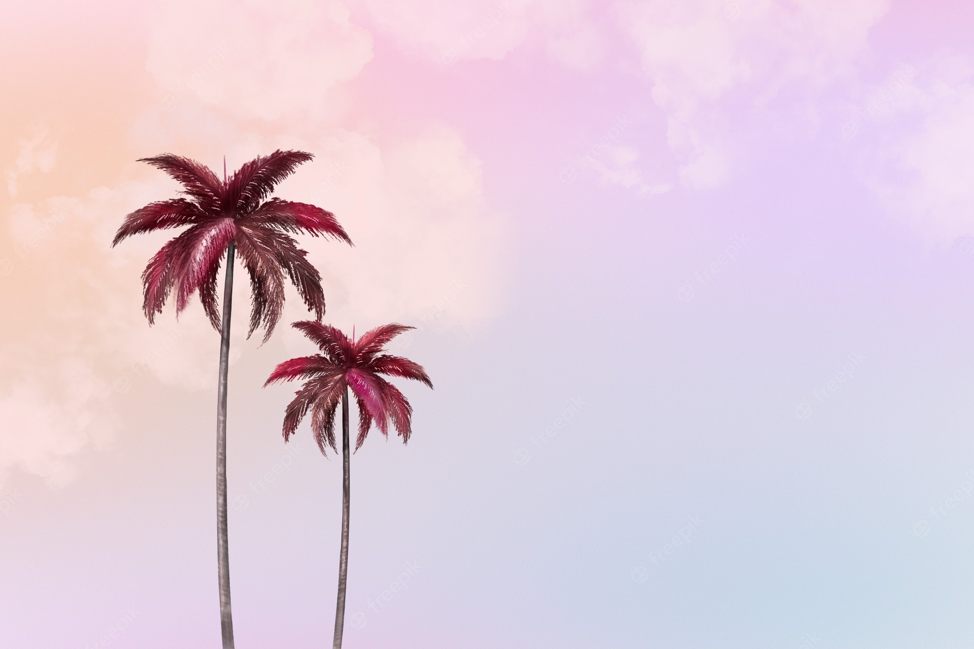 Aesthetic Palm Tree Phone Wallpapers