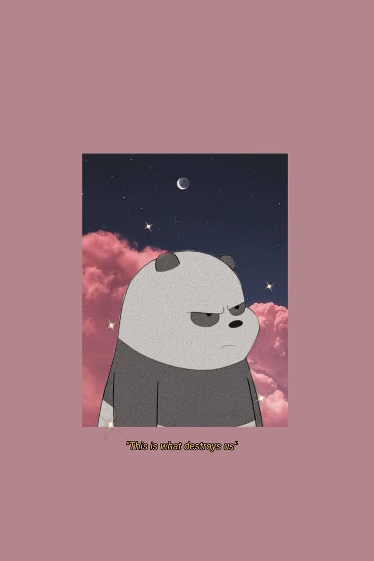 Aesthetic Panda Wallpapers