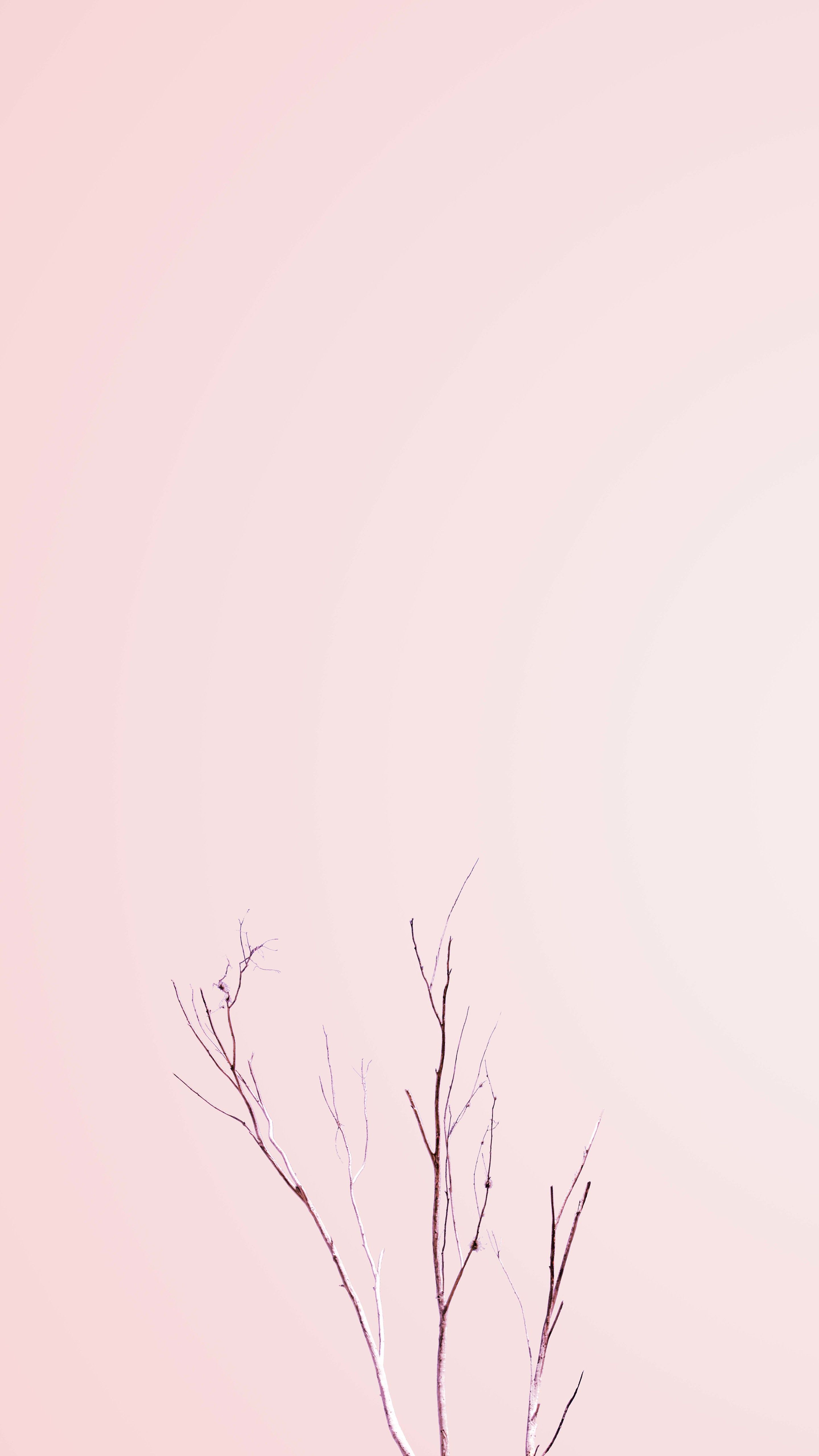 Aesthetic Pastel Minimalist Wallpapers