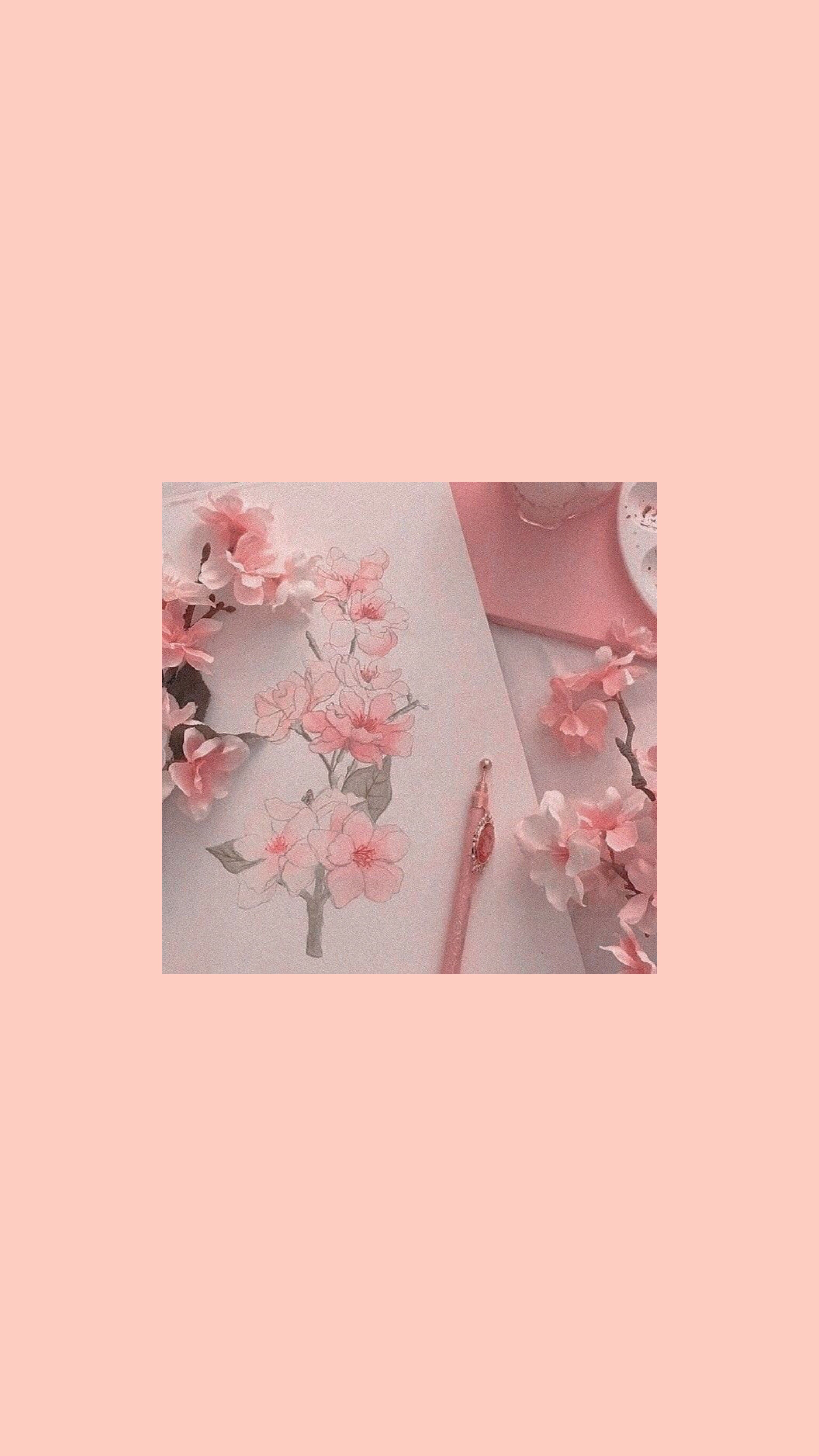 Aesthetic Peach Pink Wallpapers