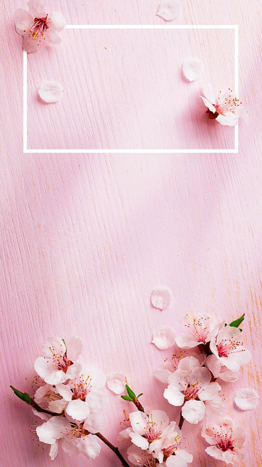 Aesthetic Pink Iphone Wallpapers