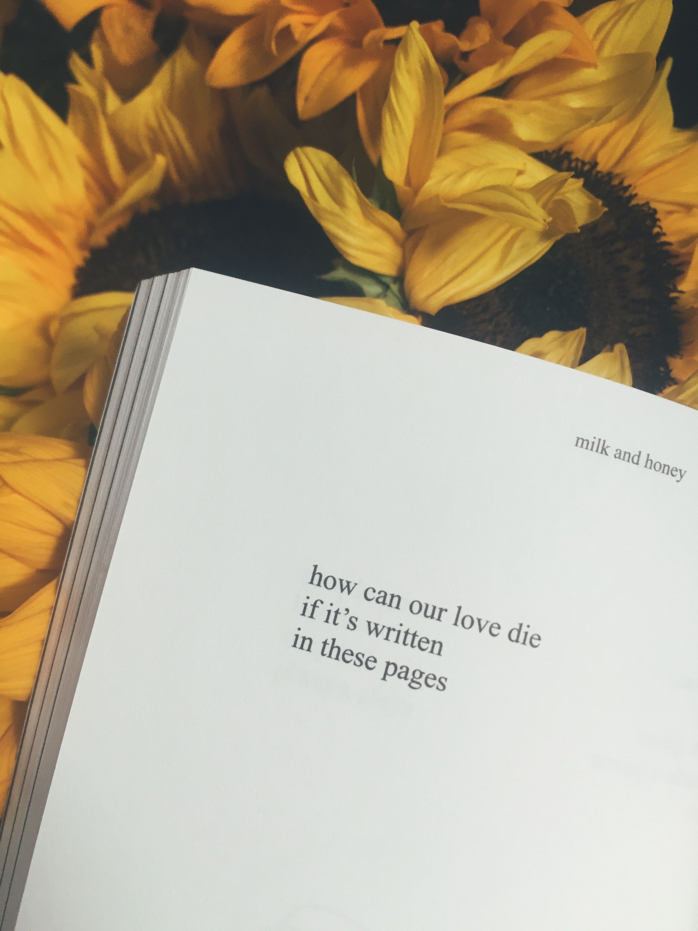 Aesthetic Poem Wallpapers