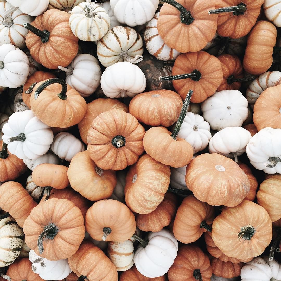 Aesthetic Pumpkin Wallpapers