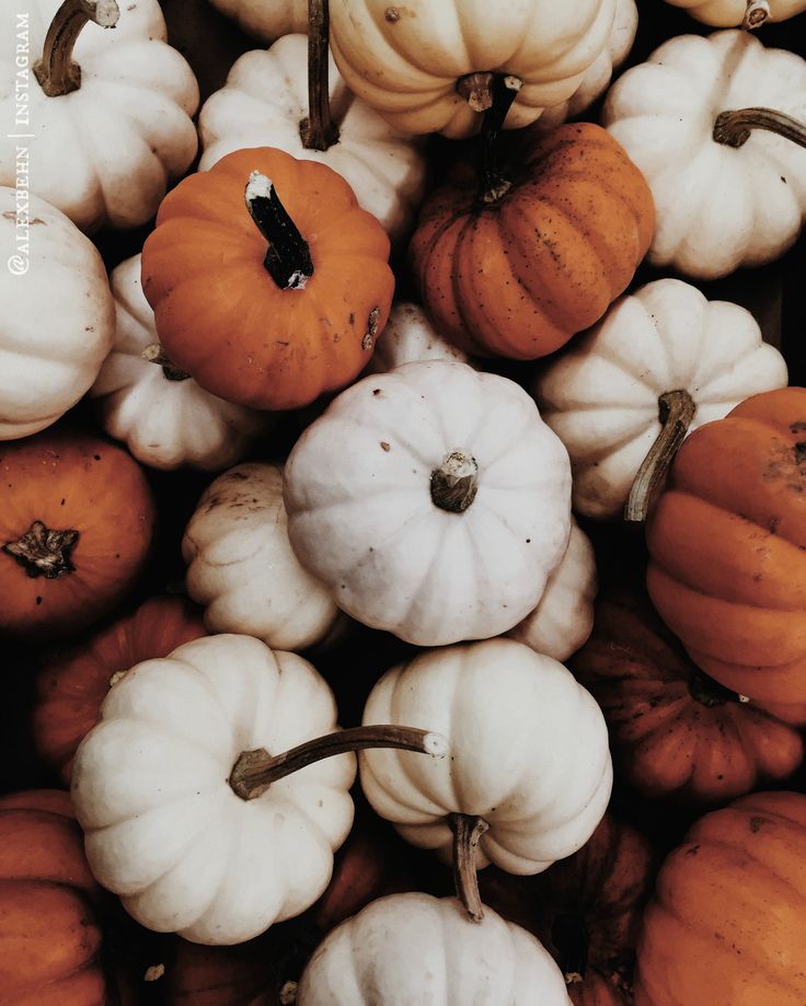 Aesthetic Pumpkin Wallpapers