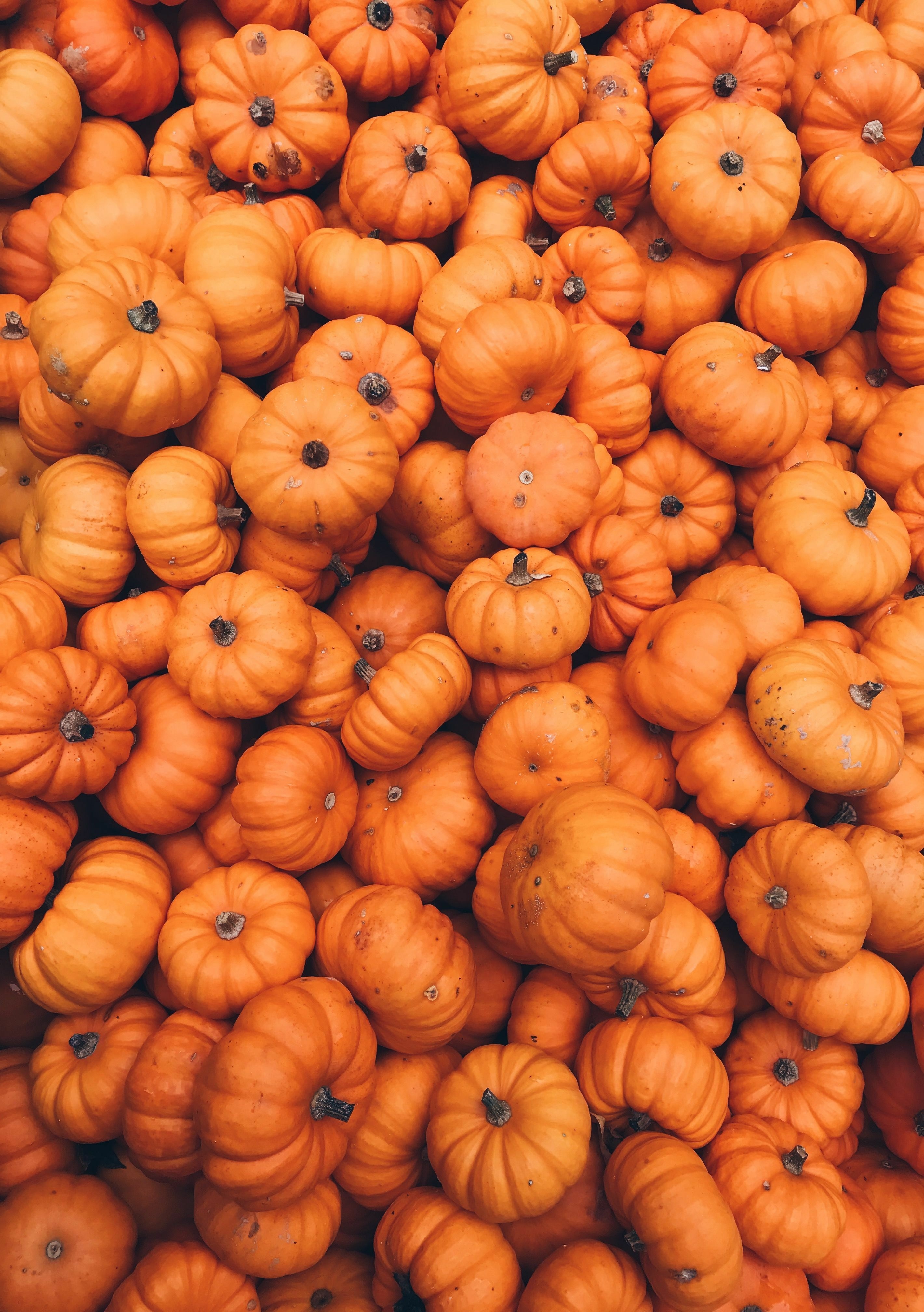 Aesthetic Pumpkin Wallpapers