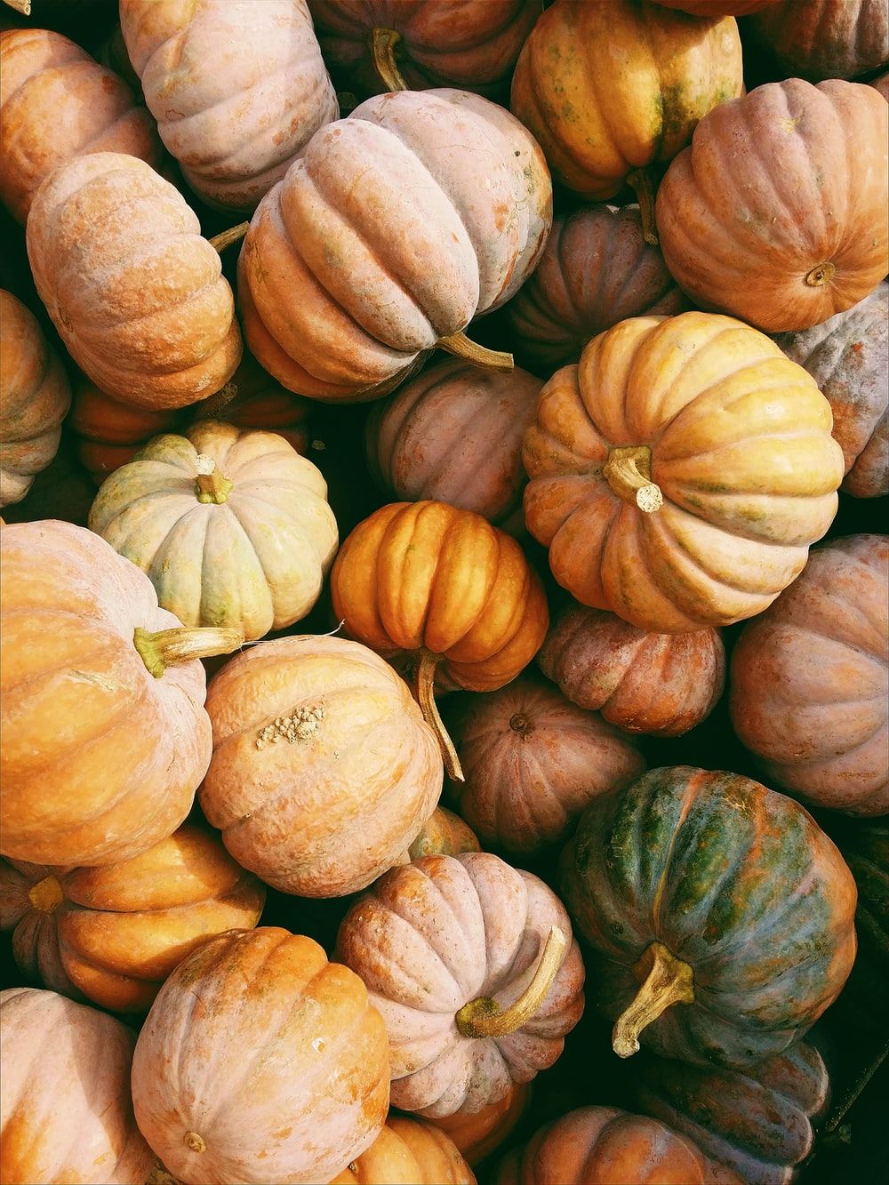 Aesthetic Pumpkin Wallpapers