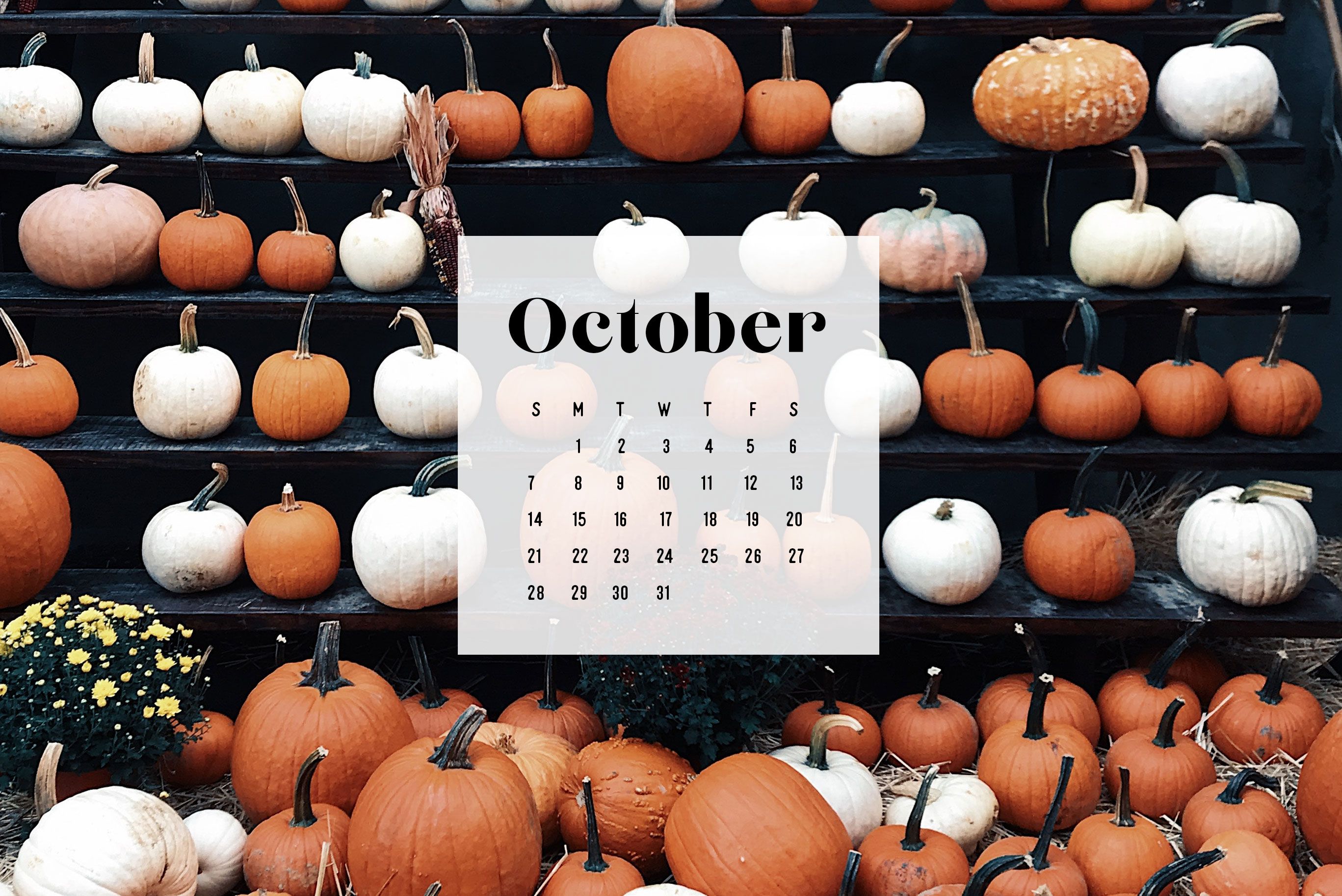 Aesthetic Pumpkin Wallpapers