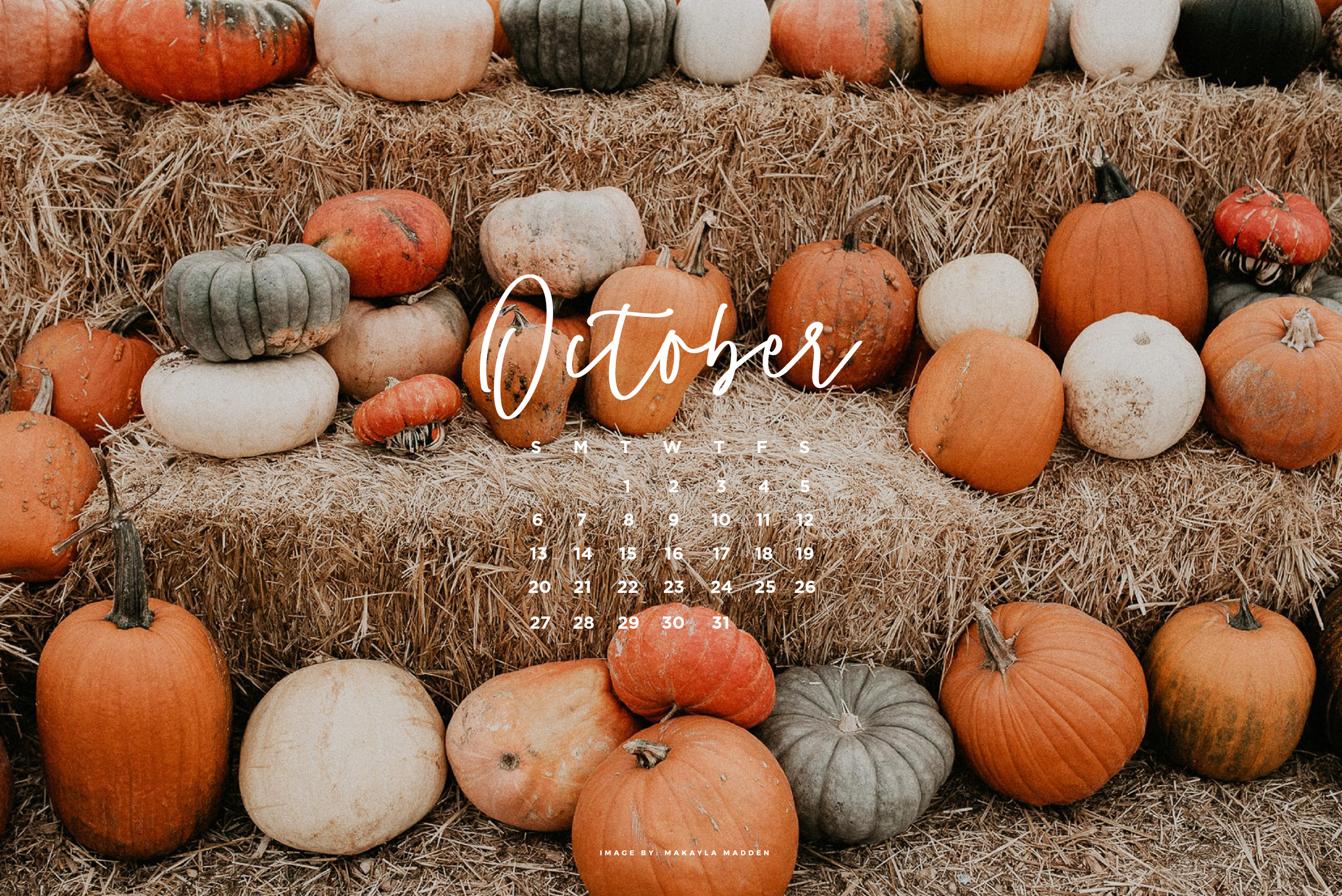 Aesthetic Pumpkin Wallpapers