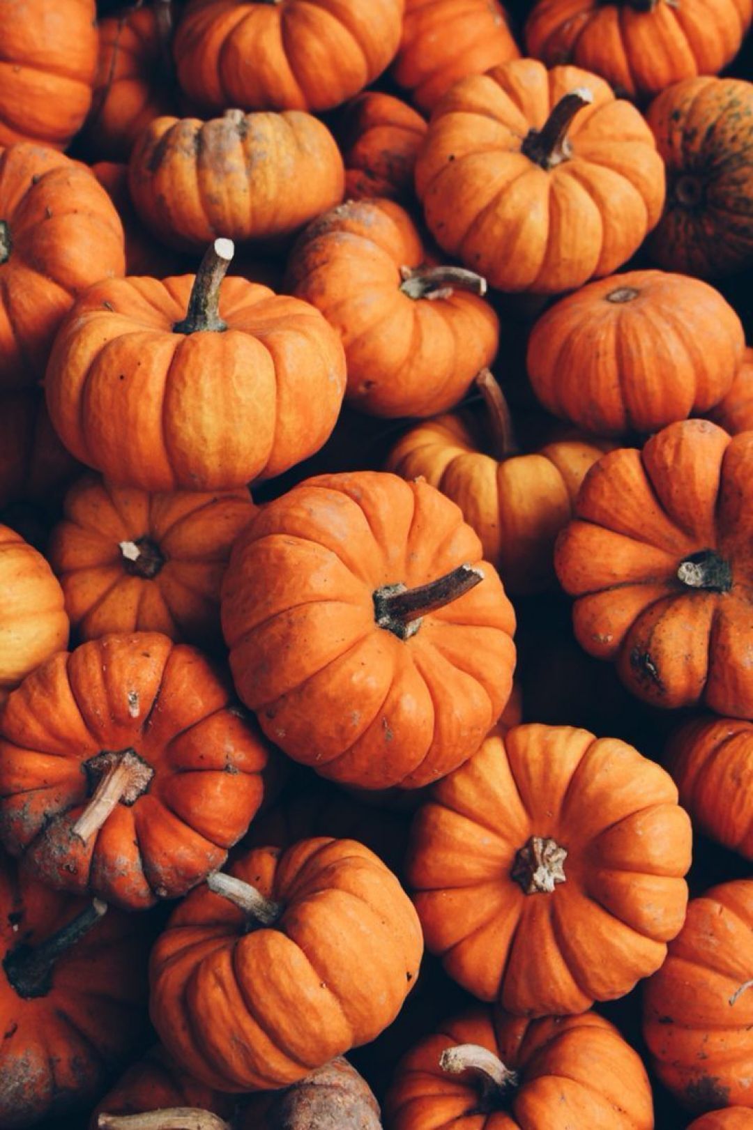 Aesthetic Pumpkin Wallpapers