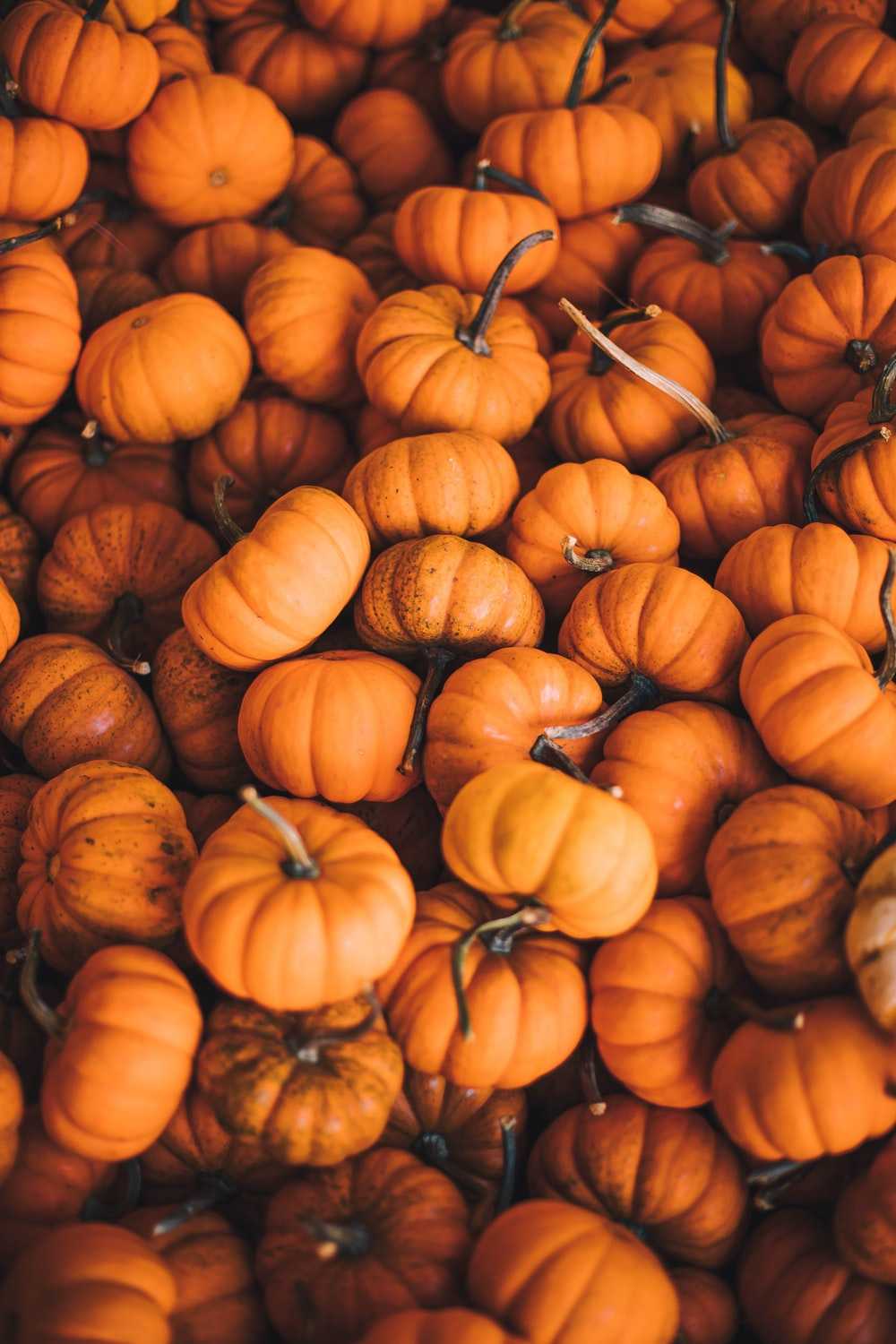 Aesthetic Pumpkin Wallpapers