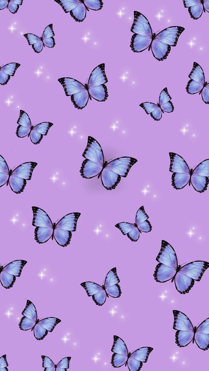 Aesthetic Purple Butterfly Wallpapers