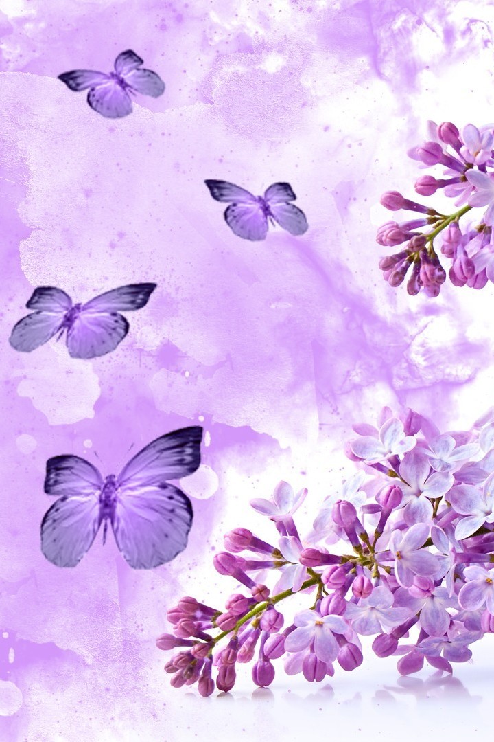 Aesthetic Purple Butterfly Wallpapers