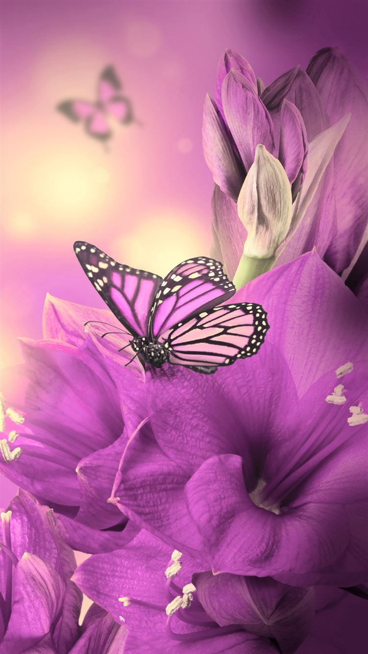 Aesthetic Purple Butterfly Wallpapers