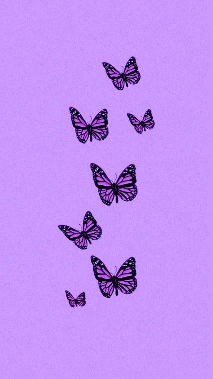 Aesthetic Purple Butterfly Wallpapers