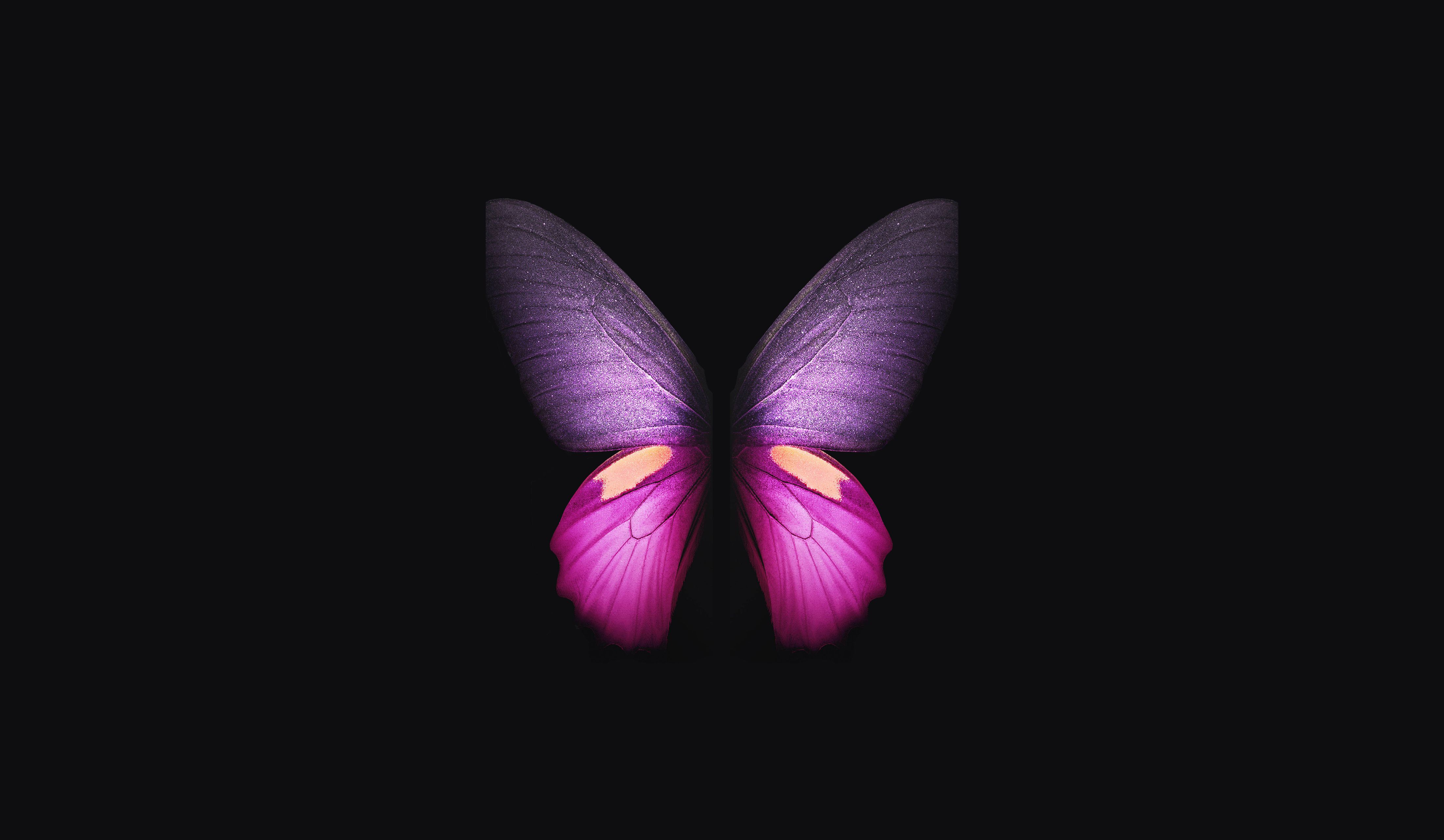 Aesthetic Purple Butterfly Wallpapers