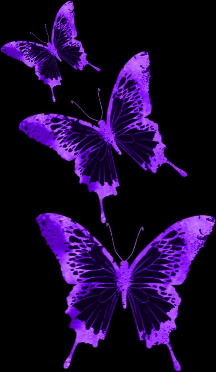 Aesthetic Purple Butterfly Wallpapers