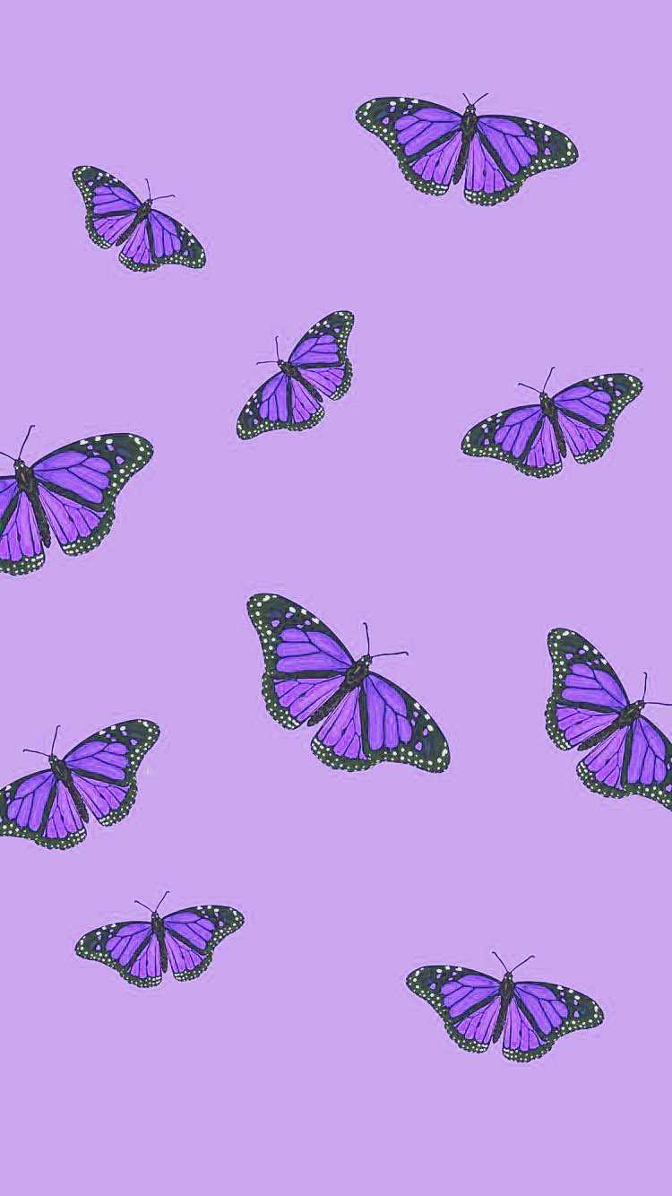 Aesthetic Purple Butterfly Wallpapers