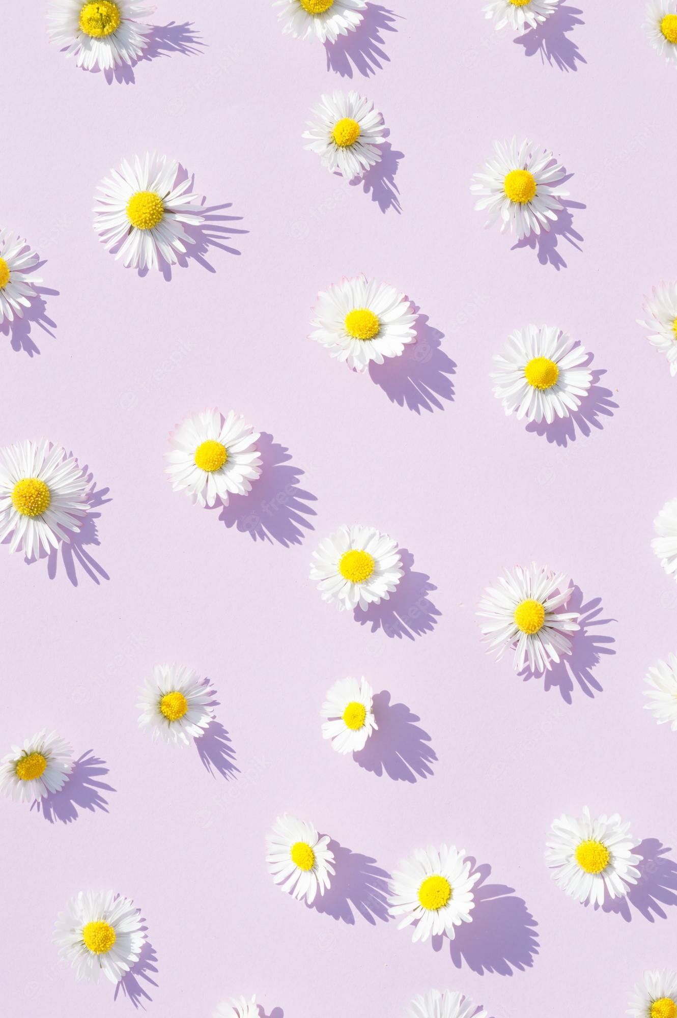 Aesthetic Purple Flower Wallpapers