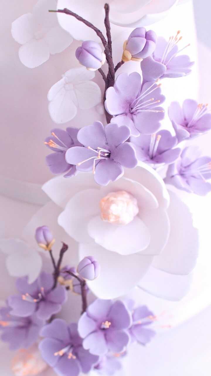 Aesthetic Purple Flower Wallpapers