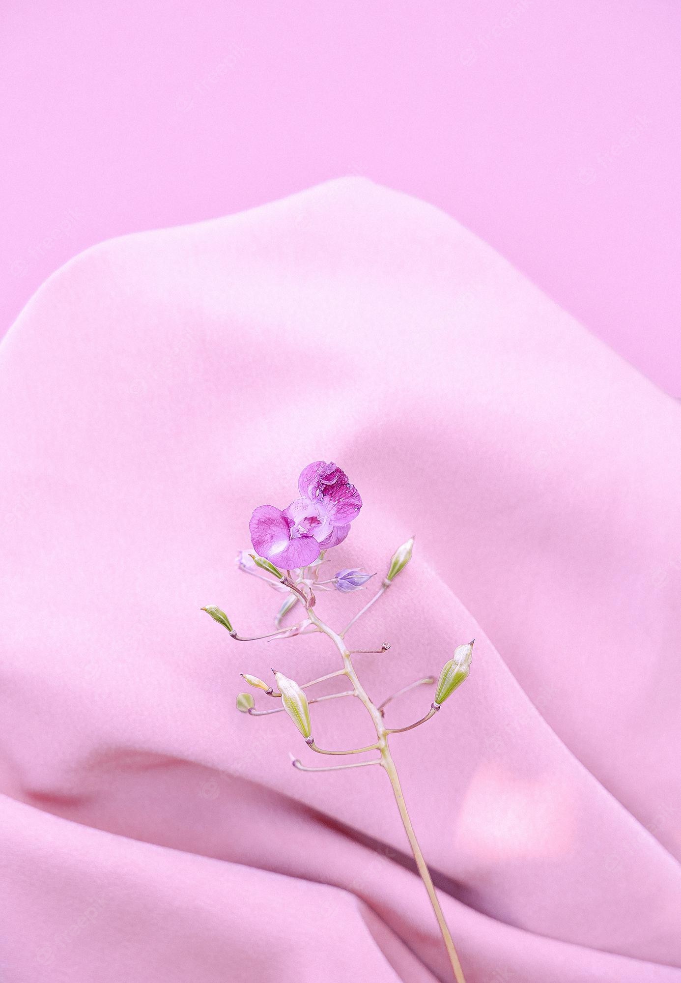 Aesthetic Purple Flower Wallpapers