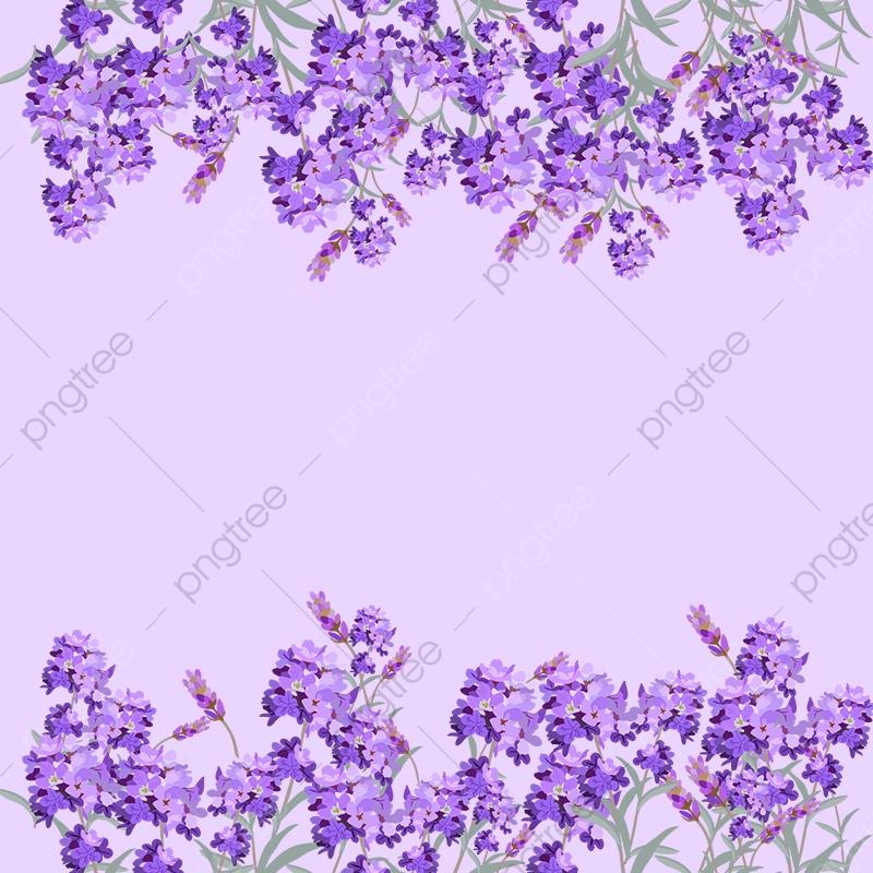 Aesthetic Purple Flower Wallpapers