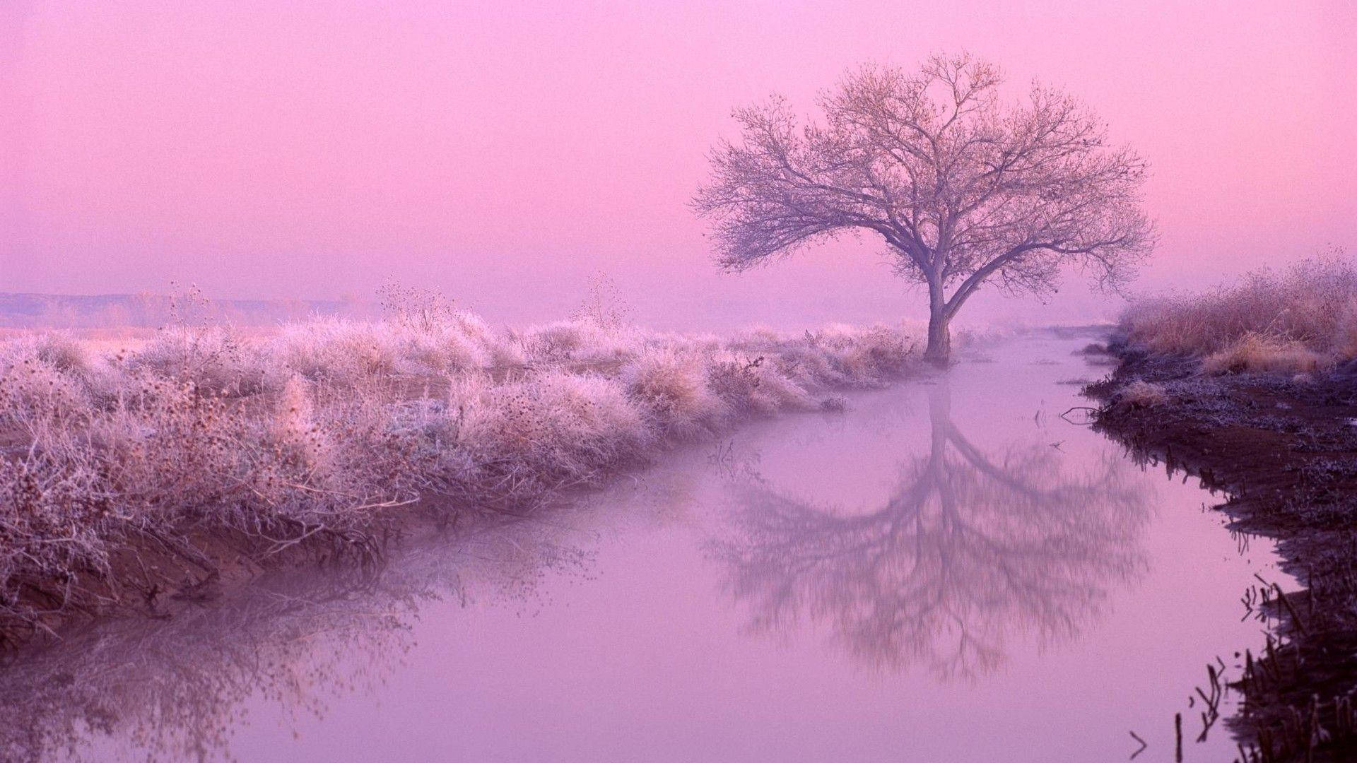 Aesthetic Purple Pink Desktop Wallpapers