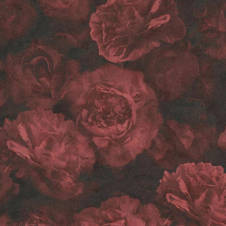 Aesthetic Red Flower Wallpapers