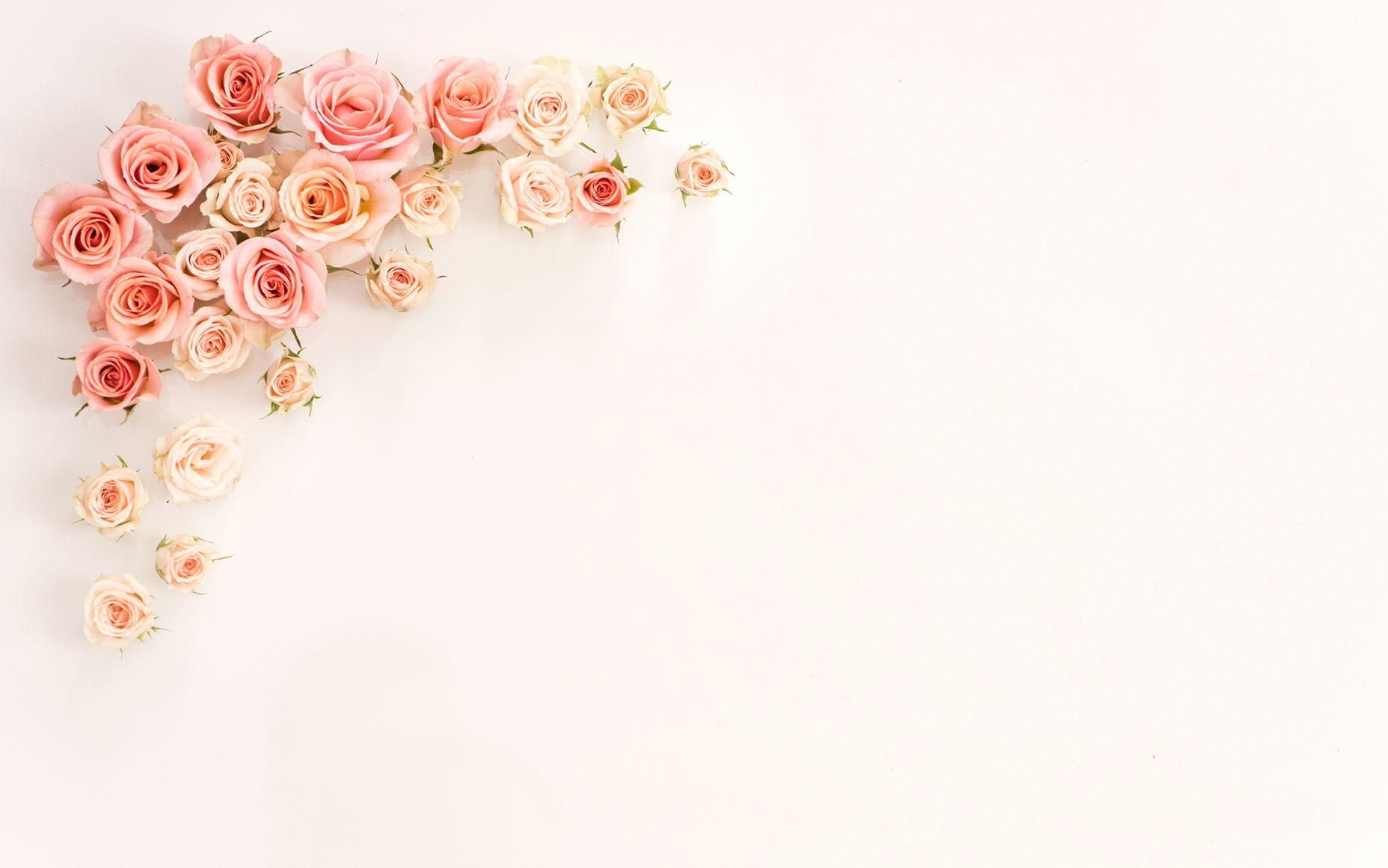 Aesthetic Rose Computer Wallpapers