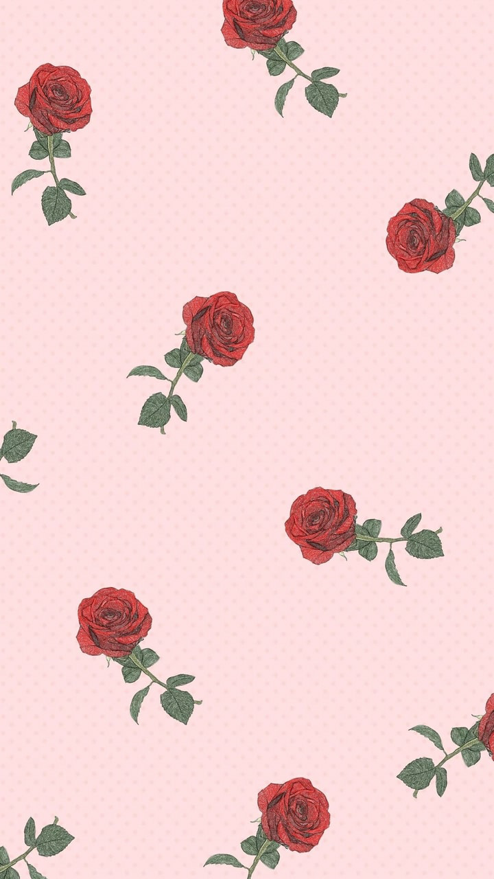 Aesthetic Rose Wallpapers