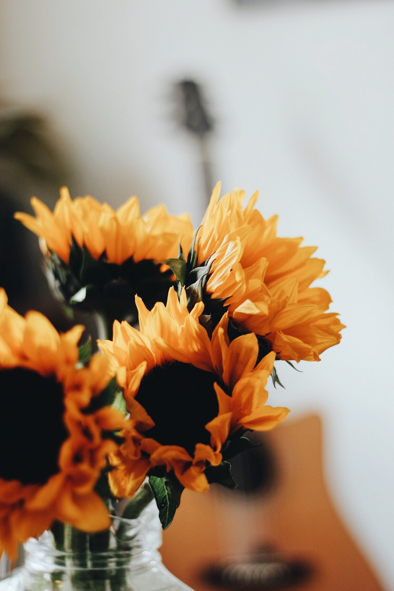 Aesthetic Roses And Sunflowers Wallpapers