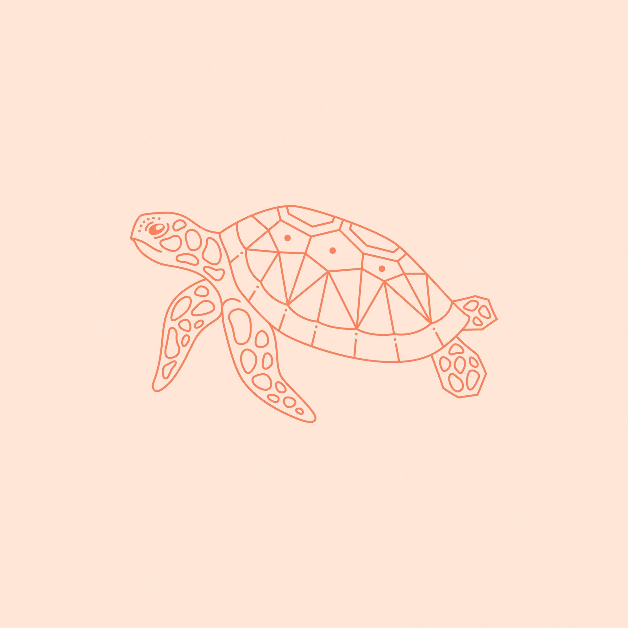 Aesthetic Sea Turtle Wallpapers