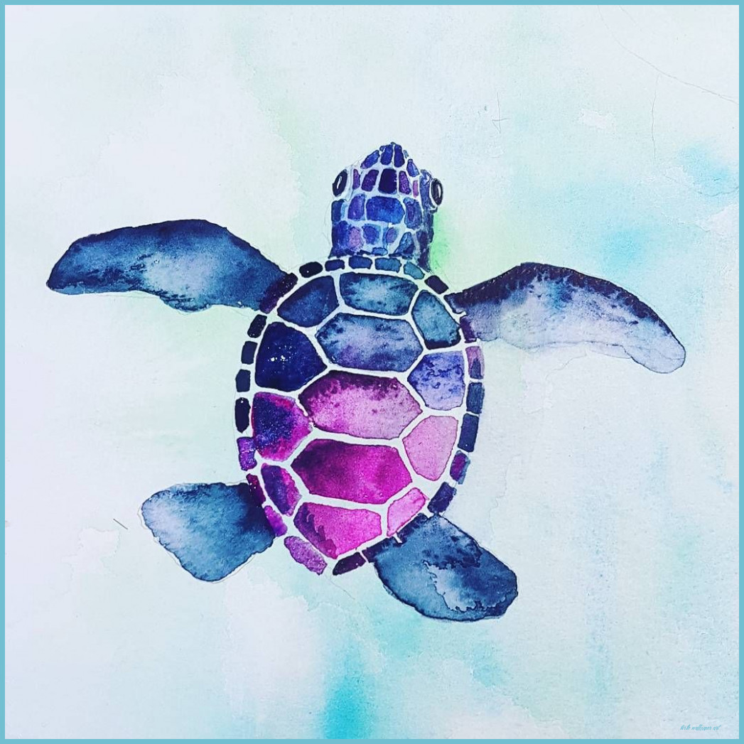 Aesthetic Sea Turtle Wallpapers