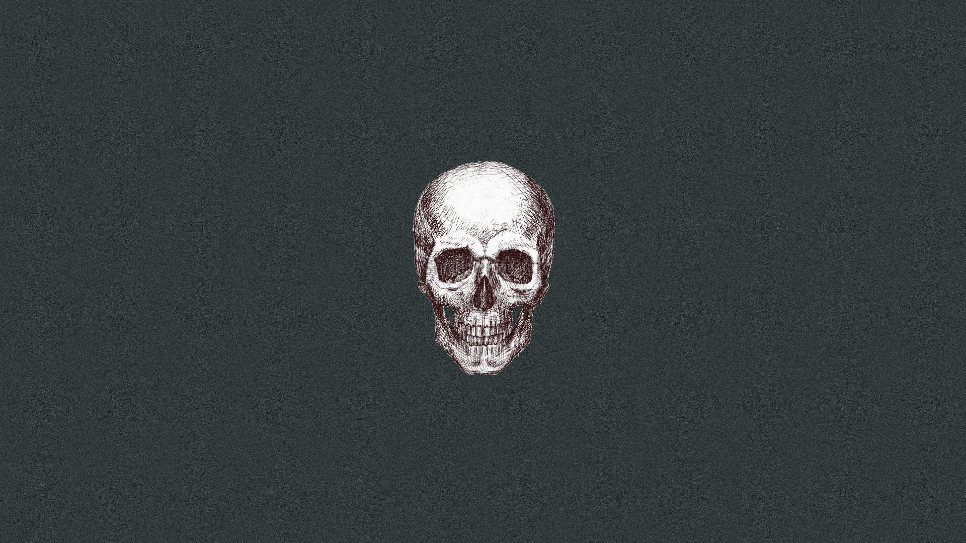 Aesthetic Skull Wallpapers